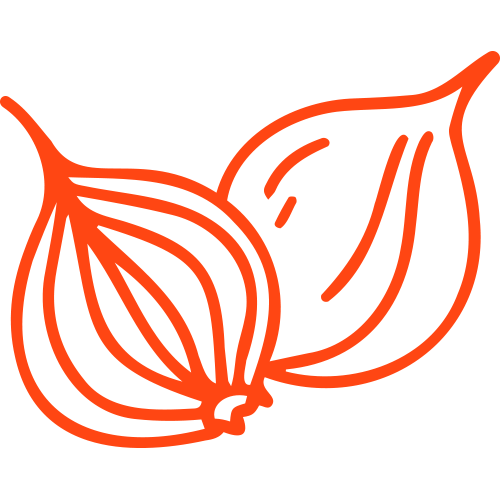 onion outlined in orange
